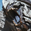 Monster Hunter Wilds